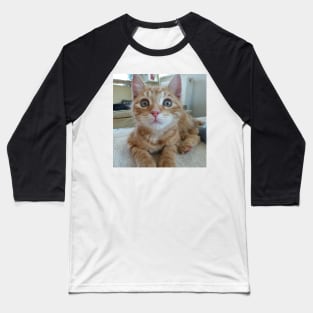 Woody the cat Baseball T-Shirt